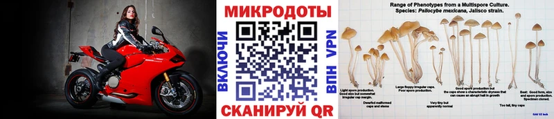 купить наркоту Добрянка Псилоцибиновые грибы GOLDEN TEACHER