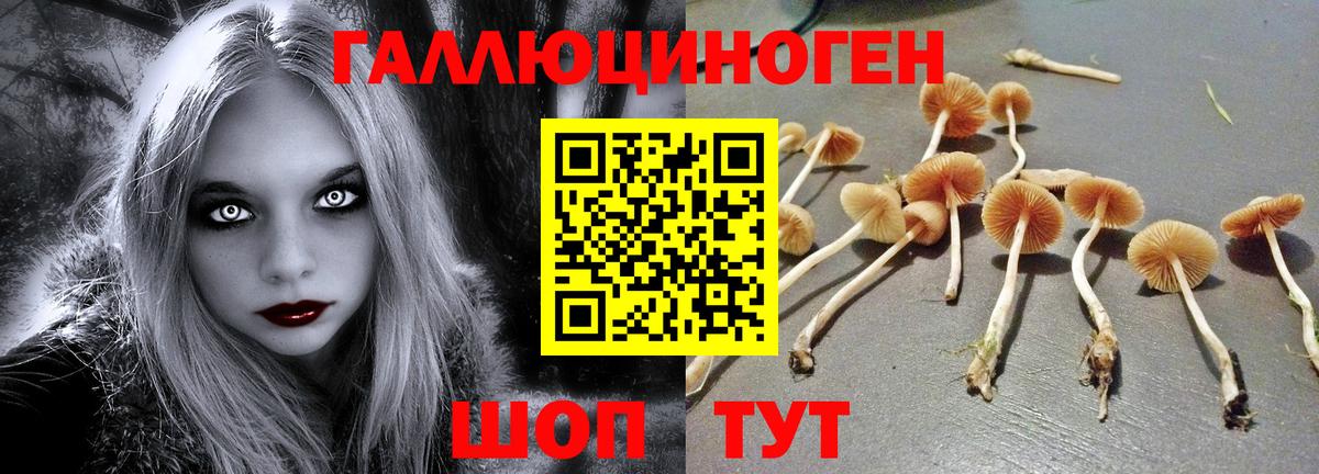 Псилоцибиновые грибы Psilocybe  Вход с VPN  хочу наркоту  Добрянка  Галлюциногенные грибы мухоморы 